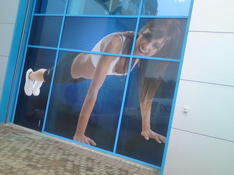 Window & Glass Graphics